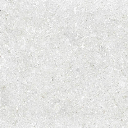 Outdoor Italian Tile Ocean Stone White Cool 12' x 24', 3/4' Rectified
