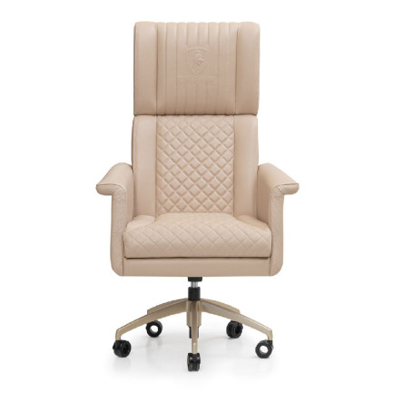 GT Supercarbon President Chair Daino col. Fudge