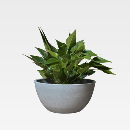 Modern Light Grey 12,2"x5,9" Pot Planter