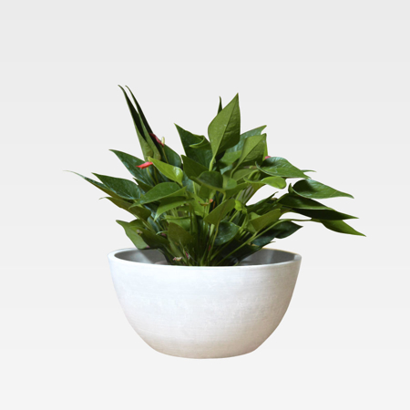 Modern White Stone Pot Planter