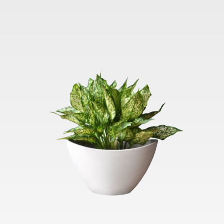 Contemporary Outdoor White Stone Pot Planter