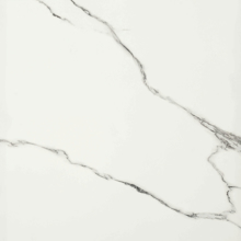 Picture of Majestic Queen's Tiara 12" x 24" Polished Porcelain Tile