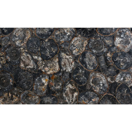 Black Petrified Wood Round Natural Stone