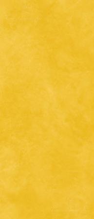 Korium Yellow Logo 48"x110" Porcelain Tile