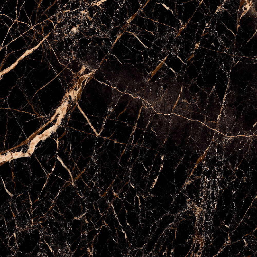 美品 海外製 黒と金のクッション Black and Gold Luxury 美品 海外製 黒と金のクッション Black and Gold Luxury