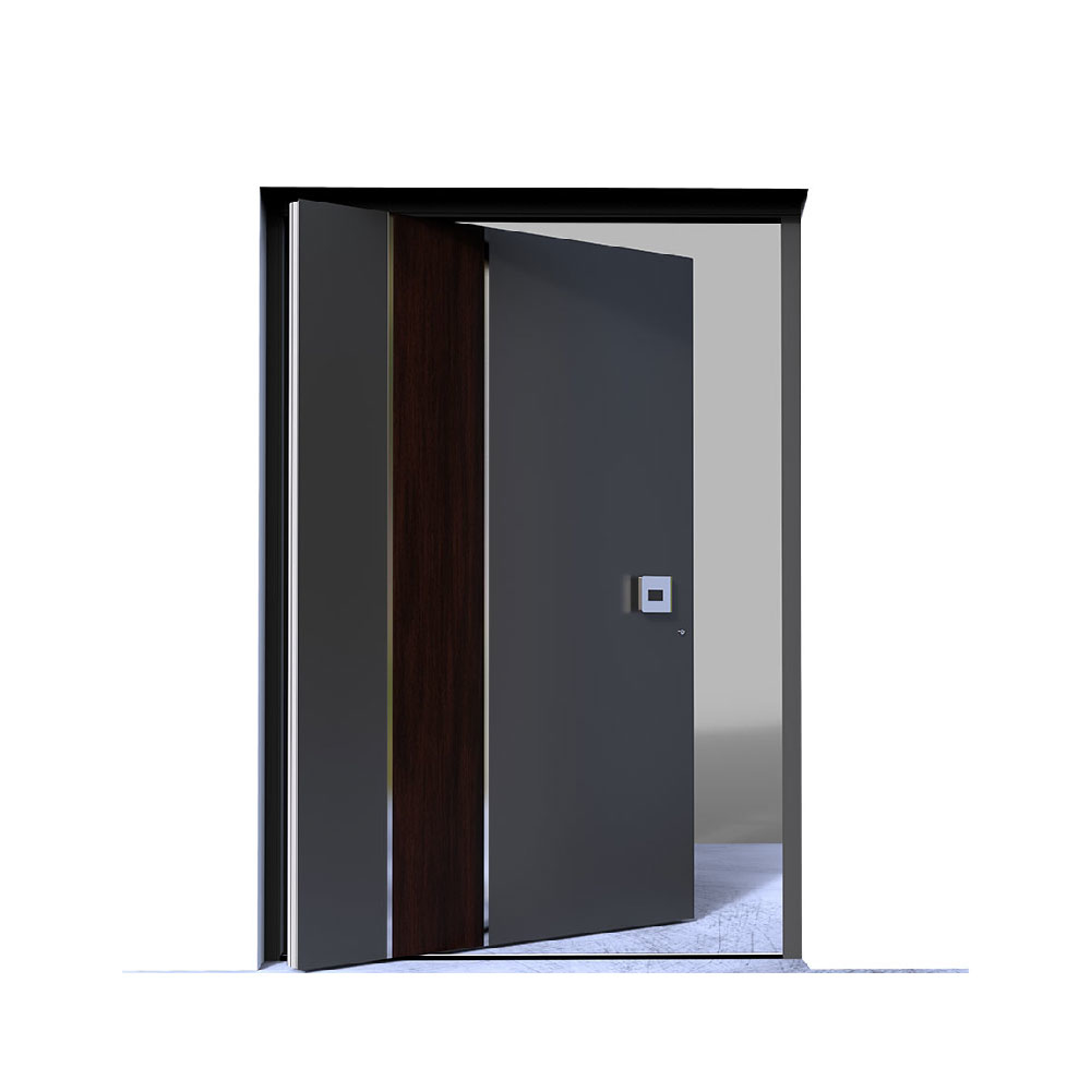 Pivot Entrance Door Dallas HINTEX Home Interior & Exterior