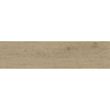 Entice Pale Ash Oak Natural Outdoor Rectified 12" x 48"