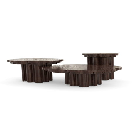 FORTUNA WALNUT ROOT SET OF 3 CENTER TABLE