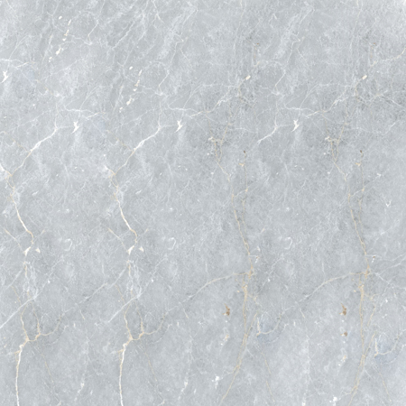 Marmo Grigio 24" x 48" Natural Glossy Porcelain Tile