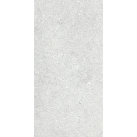 Italian Porcelain Tile Le Reverse Opal Elegance 24" x 48" 3/8" Honed