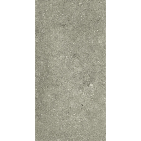 Le Reverse Taupe Elegance 16" x 32" 3/8" Honed Porcelain Tile