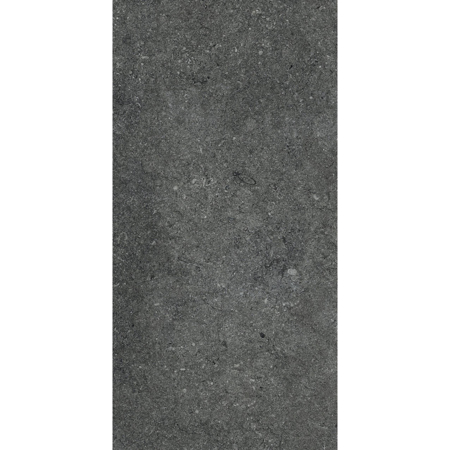 Le Reverse Nuit Elegance 16" x 32" 3/8" Natural Porcelain Tile