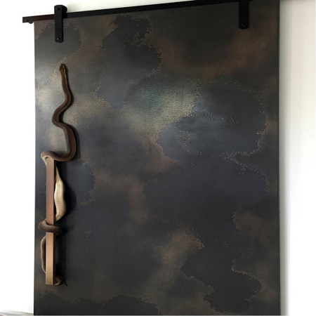 Venom Bronze Entrance Door