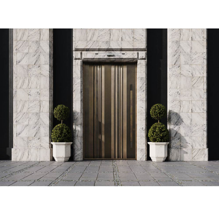 Linear Majesty Entrance Door