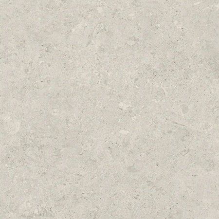 Coralstone Bianco 24”x 24” Matt Rectified