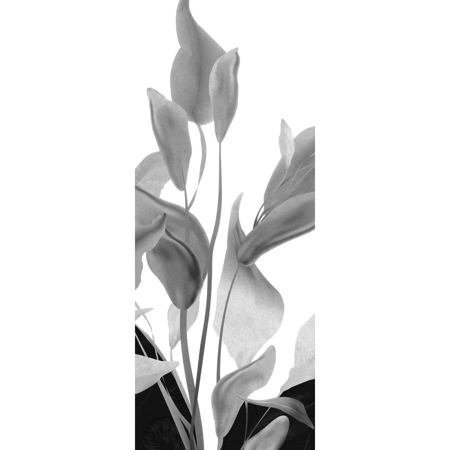 Large Format Spanish Slab Fiori Di Luna 47 1/4"x118" 1/4" Hond