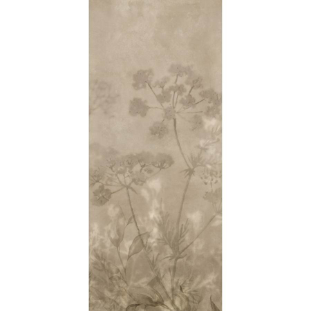Large Format Spanish Slab Botanical Warm 47 1/4"x110" 1/4" Natural