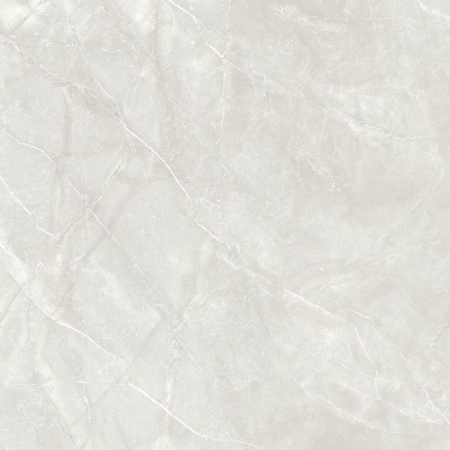 Pulpis Grey Polished 48”x48” Porcelain Tile