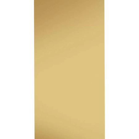 Mirror Gold Polished 11.71"x23.44" Porcelain Tile