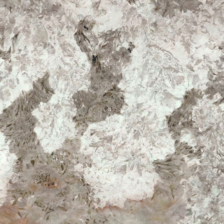 Patagonia Grey 48"x48", 1/4" Polished Porcelain Tile