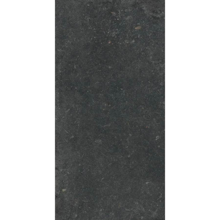 Stone Revolution Pierre Bleue 24”x48” 5/16" Porcelain Tile