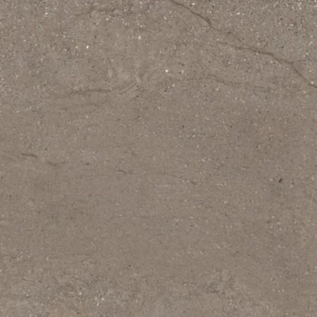 Victoria Turtledove 24”x24” 5/16" Porcelain Tile