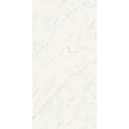 Italian Porcelain Tile Rhyno 30" x 60" 1/4" Glint