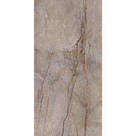 Wild Forest Grey 24"x48", 1/4" Polished Porcelain Tile