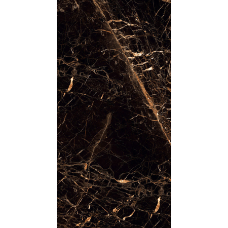 Portoro Gold 24" x 48" High Glossy Porcelain Tile