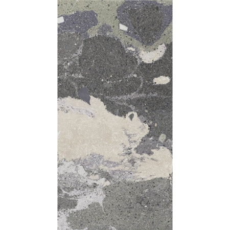 Lithops Lipan Stamp 20" x 40", 3/8" Natural Porcelain Tile